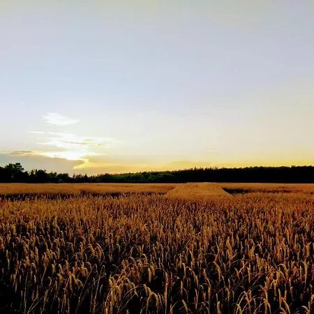 Сasa de vacaciones Fürstenhof