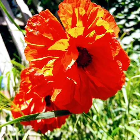 Fuerstenhof Furstenhof