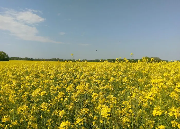 Fuerstenhof Дом отдыха *