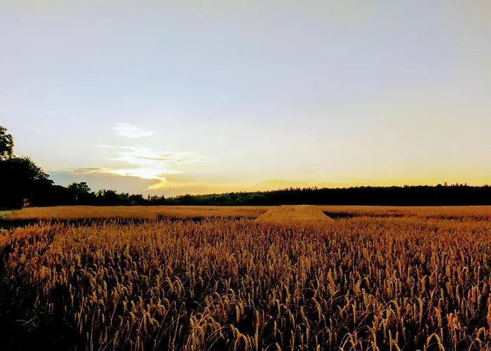 Сasa de vacaciones Fürstenhof