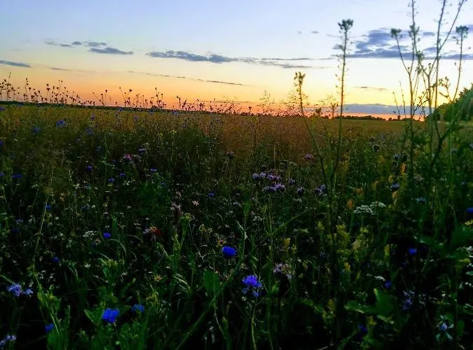 Fuerstenhof Дом отдыха Furstenhof