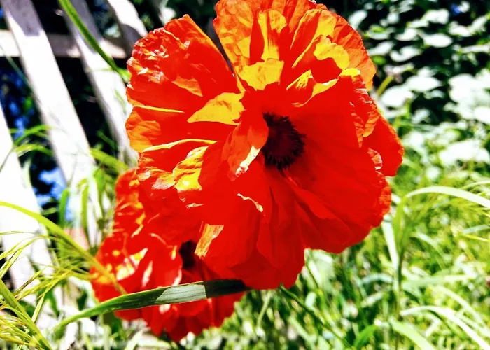 Fuerstenhof Furstenhof