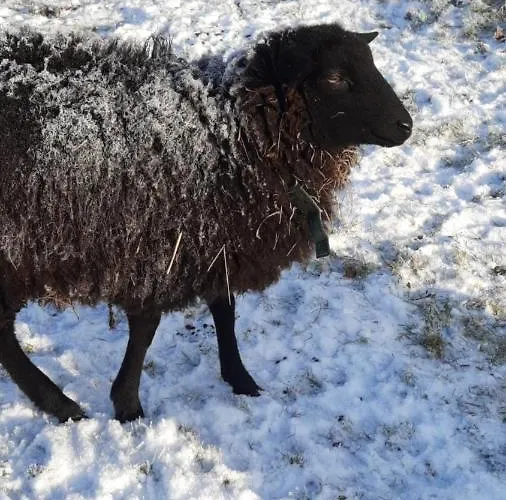 Дом отдыха Fuerstenhof *